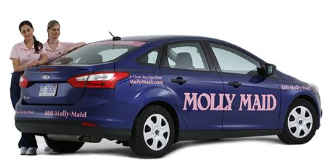 molly maids phoenix